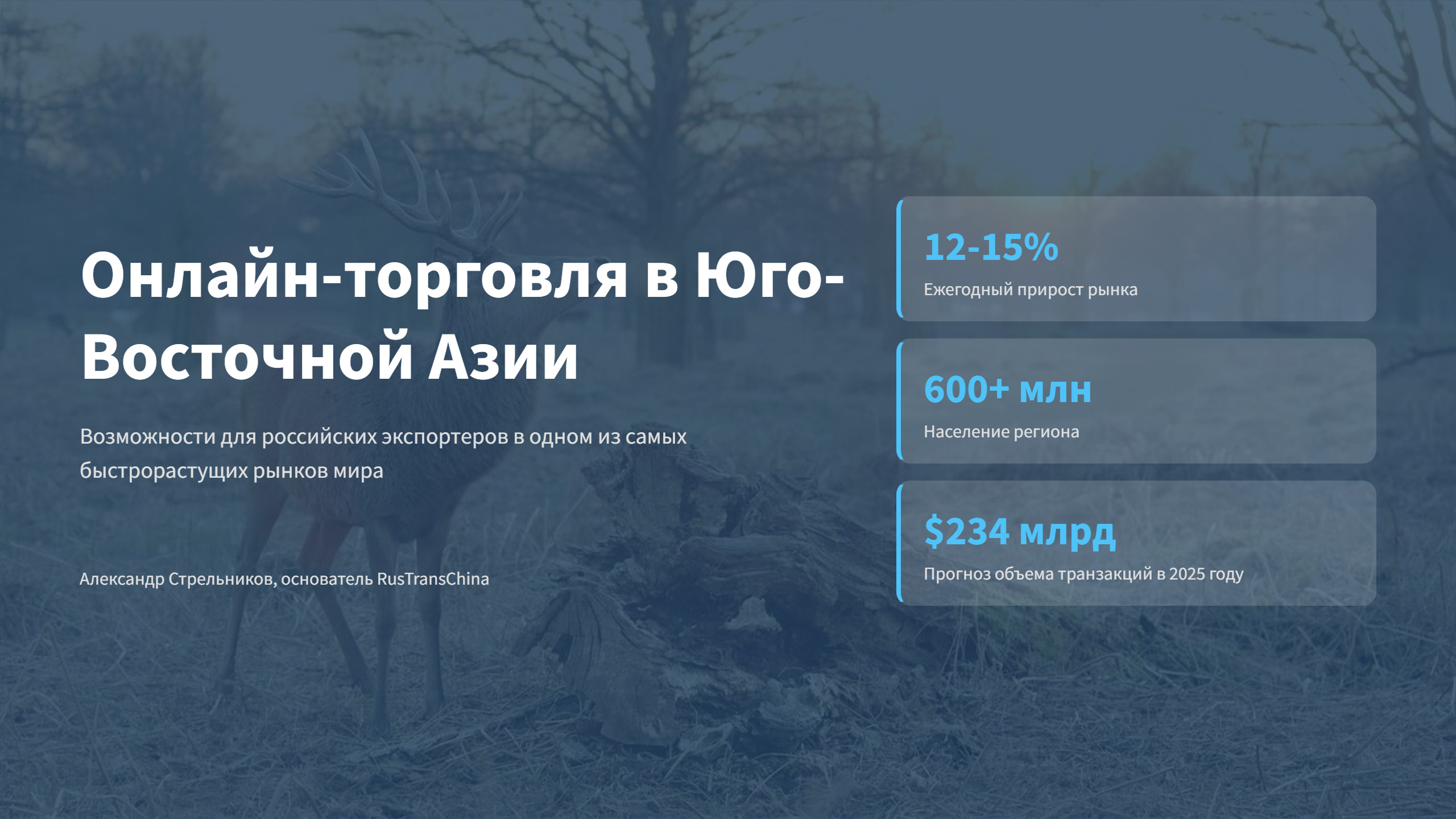 Расширение российского бизнеса в Юго-Восточной Азии